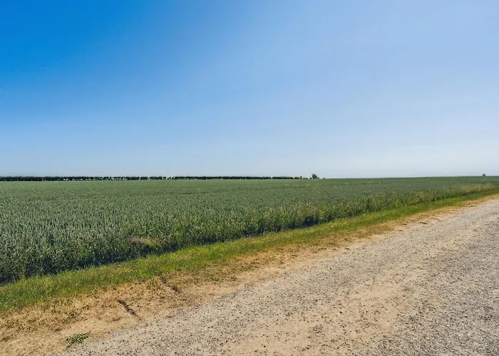 Anella - 200m From The Sea By Interhome Holiday home